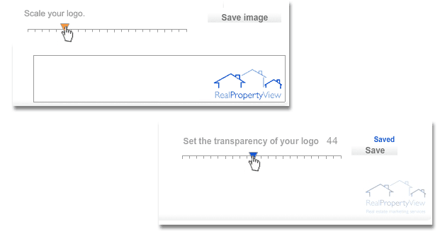 Screen shot of Branding interface